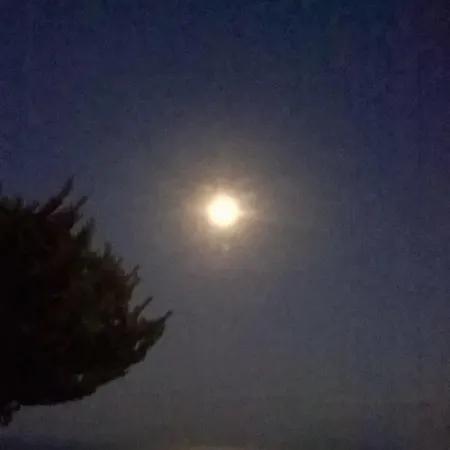 Koronios بيت ضيافة ثيرا