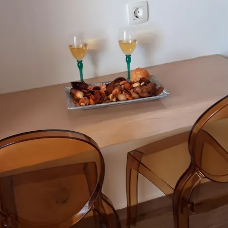 코로니오스 게스트하우스 4*