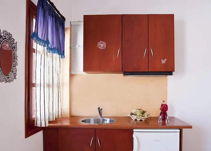 Gasthuis Koronios 4*